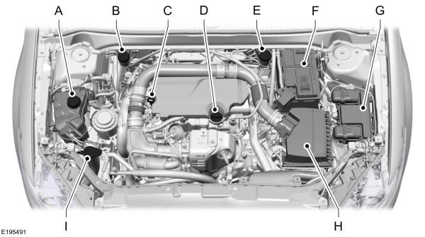 Vista geral debaixo do capot - 1.0L EcoBoost
