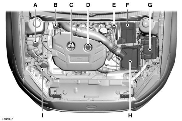 Vista geral debaixo do capot - 2.0L EcoBoost