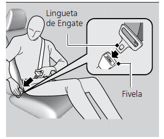 Como Usar Corretamente o Cinto de Segurança