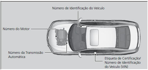 Número de Identificação do Veículo (VIN), Número do Motor e Número da Transmissão